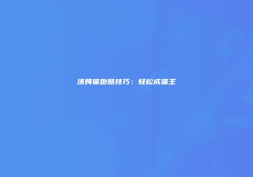汤姆猫跑酷技巧：轻松成猫王