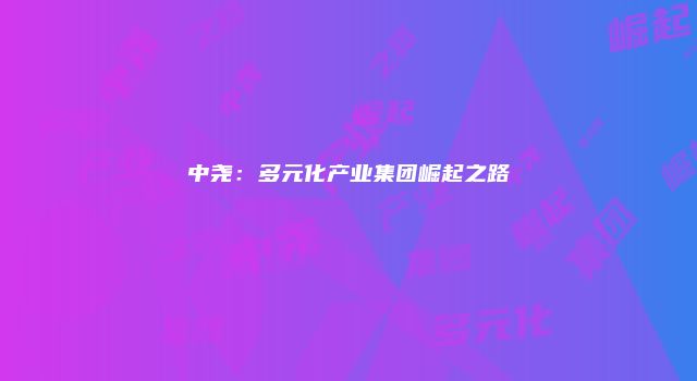 中尧：多元化产业集团崛起之路