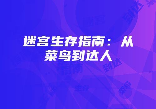 迷宫生存指南:从菜鸟到达人