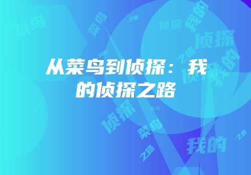 从菜鸟到侦探：我的侦探之路