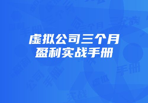 虚拟公司三个月盈利实战手册