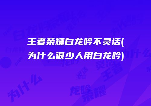 王者荣耀白龙吟不灵活(为什么很少人用白龙吟)