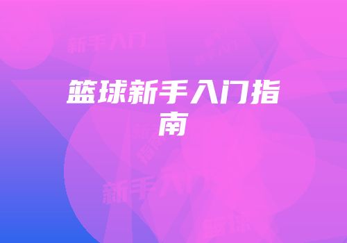 篮球新手入门指南