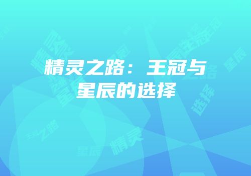 精灵之路：王冠与星辰的选择
