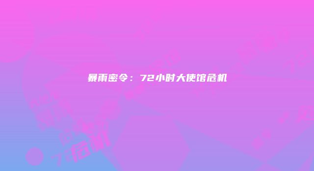 暴雨密令：72小时大使馆危机