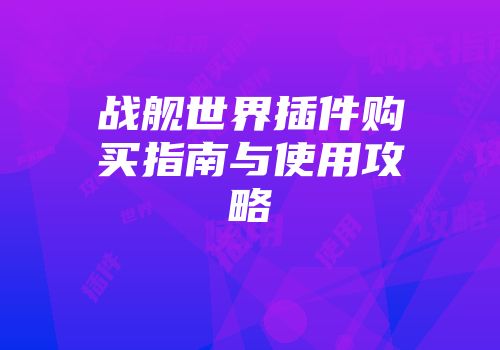 战舰世界插件购买指南与使用攻略