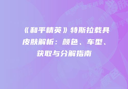 《和平精英》特斯拉载具皮肤解析：颜色、车型、获取与分解指南