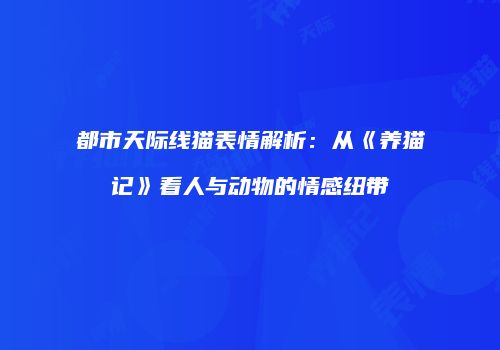 都市天际线猫表情解析：从《养猫记》看人与动物的情感纽带