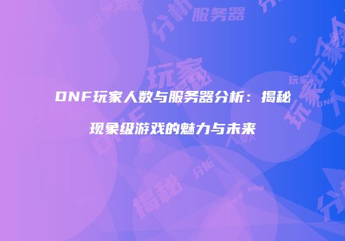 DNF玩家人数与服务器分析：揭秘现象级游戏的魅力与未来