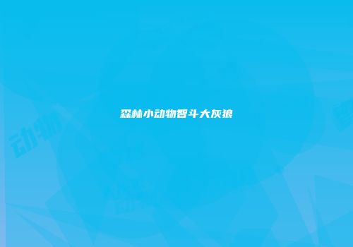 森林小动物智斗大灰狼