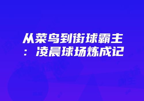 从菜鸟到街球霸主：凌晨球场炼成记