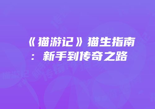 《猫游记》猫生指南：新手到传奇之路