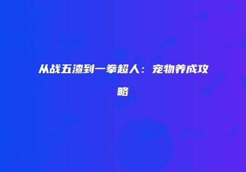从战五渣到一拳超人：宠物养成攻略