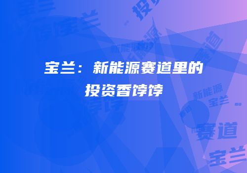 宝兰：新能源赛道里的投资香饽饽
