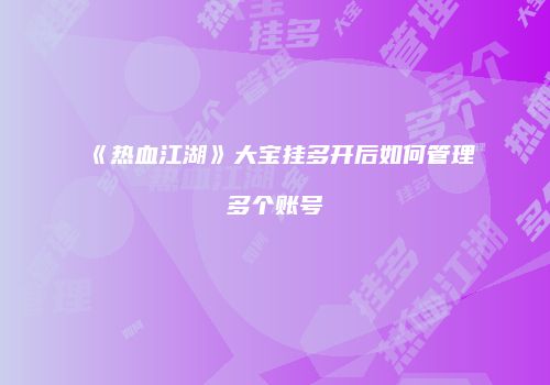 《热血江湖》大宝挂多开后如何管理多个账号