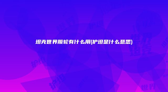 坦克世界腹轮有什么用(护坦是什么意思)