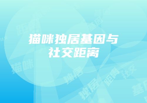 猫咪独居基因与社交距离