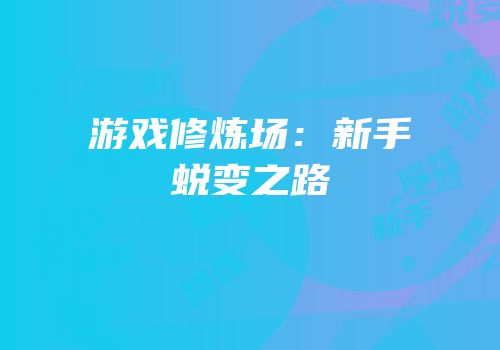 游戏修炼场：新手蜕变之路