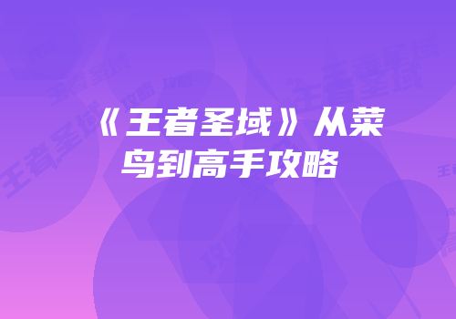 《王者圣域》从菜鸟到高手攻略