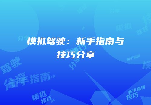 模拟驾驶：新手指南与技巧分享