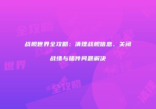 战舰世界全攻略：清理战舰信息、关闭战绩与插件问题解决