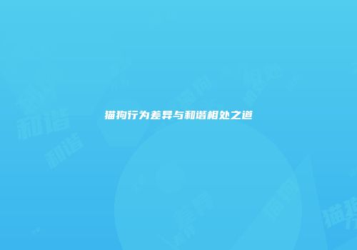 猫狗行为差异与和谐相处之道