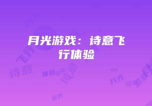 月光游戏：诗意飞行体验