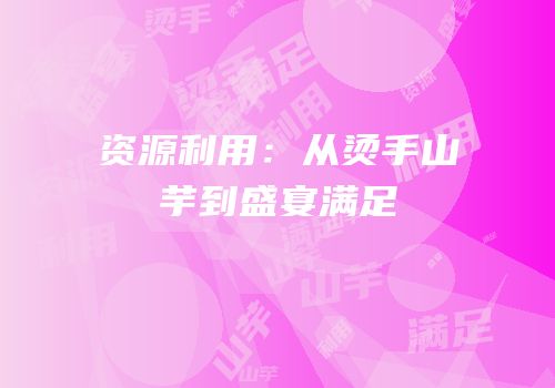 资源利用：从烫手山芋到盛宴满足