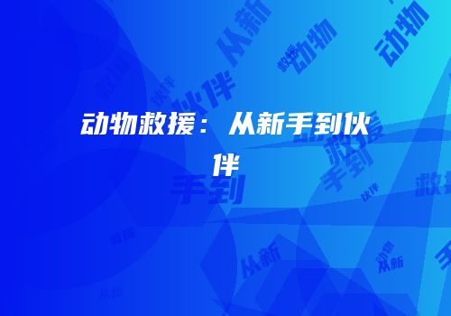 动物救援：从新手到伙伴