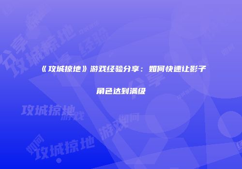 《攻城掠地》游戏经验分享:如何快速让影子角色达到满级