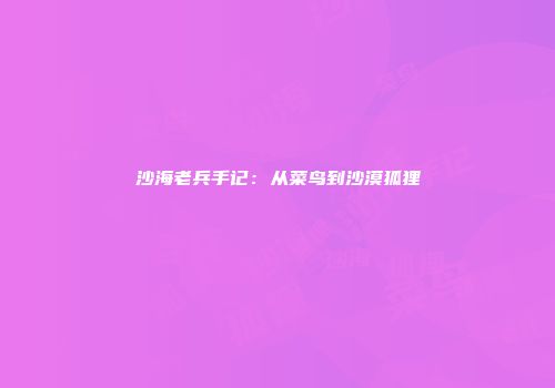 沙海老兵手记：从菜鸟到沙漠狐狸
