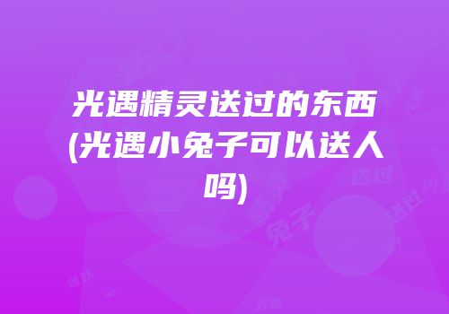 光遇精灵送过的东西(光遇小兔子可以送人吗)