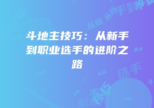 斗地主技巧：从新手到职业选手的进阶之路