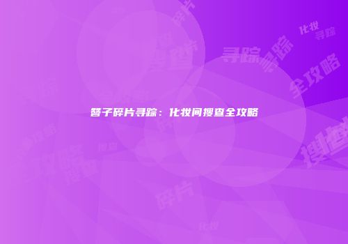 簪子碎片寻踪：化妆间搜查全攻略
