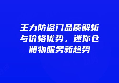 王力防盗门品质解析与价格优势，迷你仓储物服务新趋势