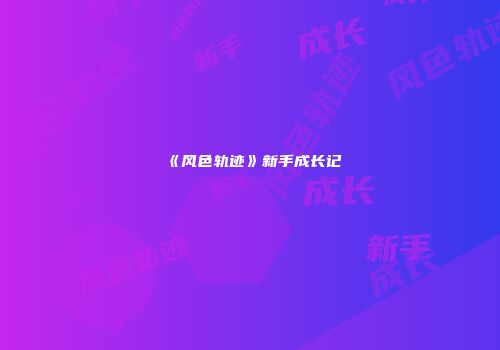 《风色轨迹》新手成长记