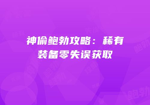 神偷鲍勃攻略：稀有装备零失误获取