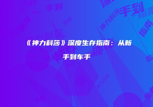《神力科莎》深度生存指南：从新手到车手