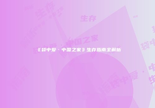 《袋中爱·中国之家》生存指南全解析