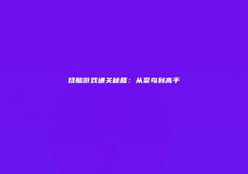 烧脑游戏通关秘籍：从菜鸟到高手