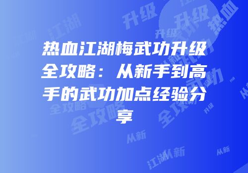 热血江湖梅武功升级全攻略：从新手到高手的武功加点经验分享