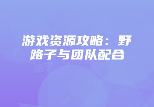 游戏资源攻略：野路子与团队配合