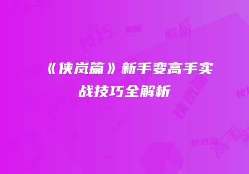 《侠岚篇》新手变高手实战技巧全解析