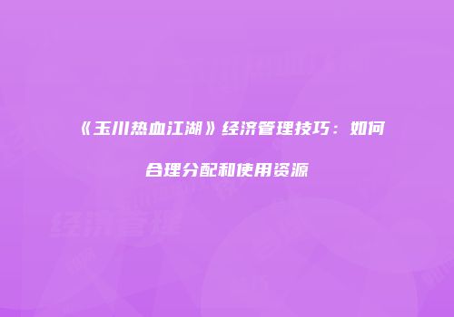 《玉川热血江湖》经济管理技巧：如何合理分配和使用资源