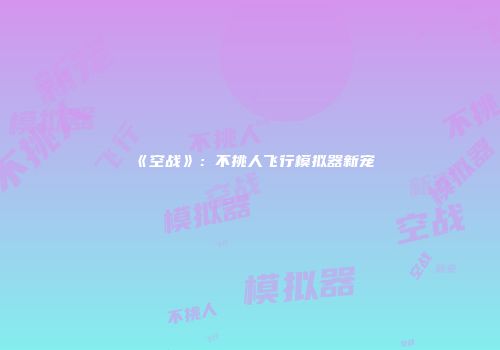 《空战》：不挑人飞行模拟器新宠
