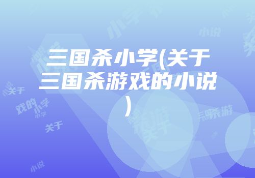 三国杀小学(关于三国杀游戏的小说)