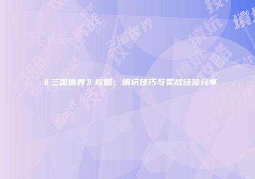 《三国世界》攻略：填坑技巧与实战经验分享