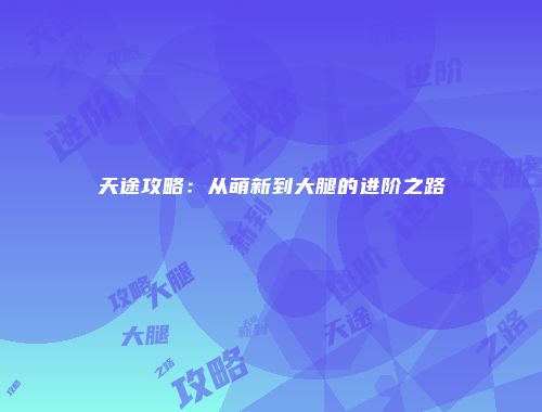 天途攻略：从萌新到大腿的进阶之路