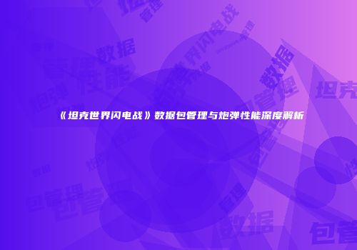 《坦克世界闪电战》数据包管理与炮弹性能深度解析
