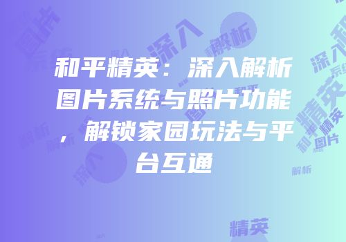 和平精英：深入解析图片系统与照片功能，解锁家园玩法与平台互通